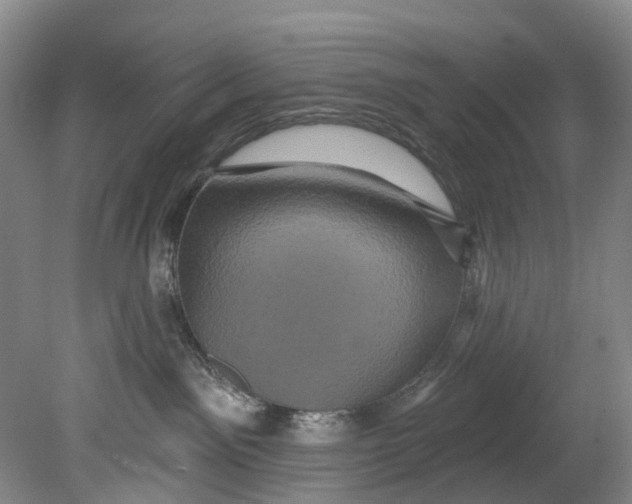 X0000080690141200701051110