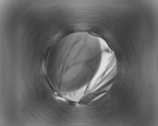 X0000080690143200701051110