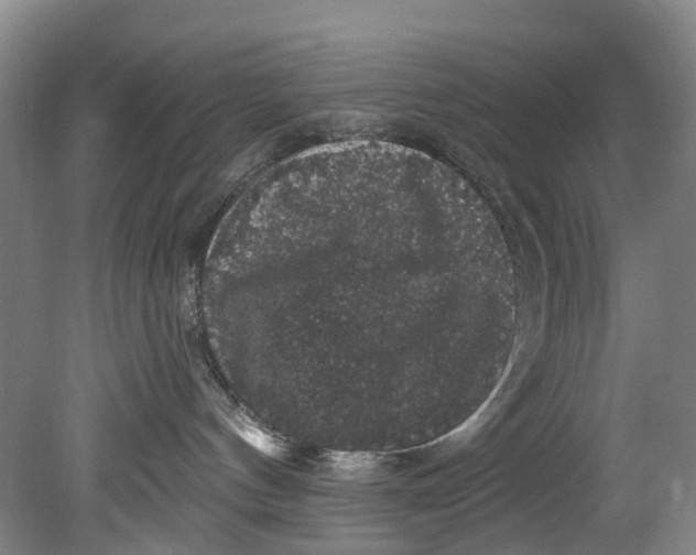 X0000080690144200701051110