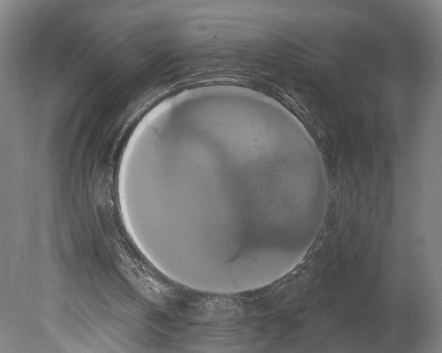 X0000080690146200701051109