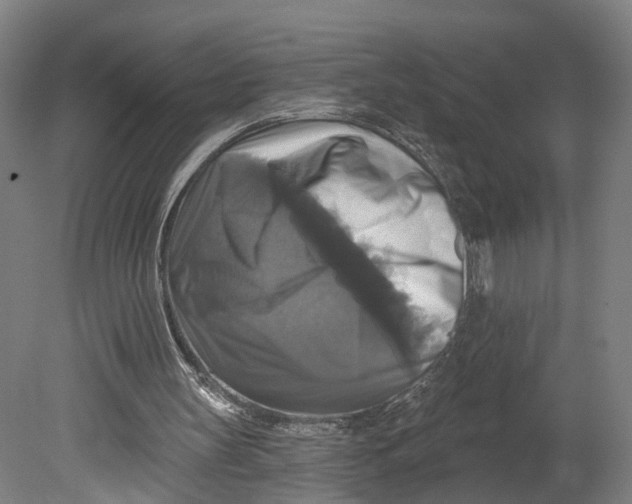 X0000080690147200701051109