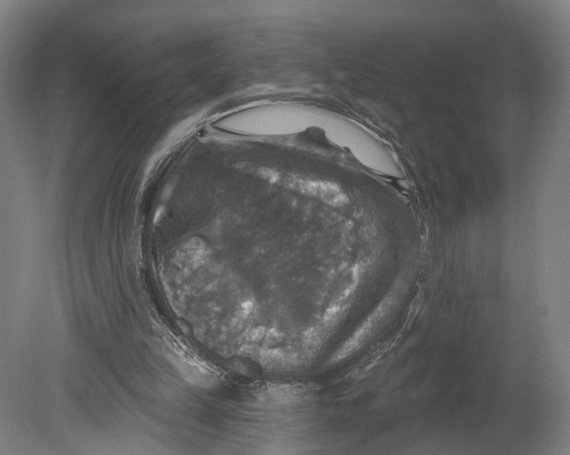 X0000080690149200701051109