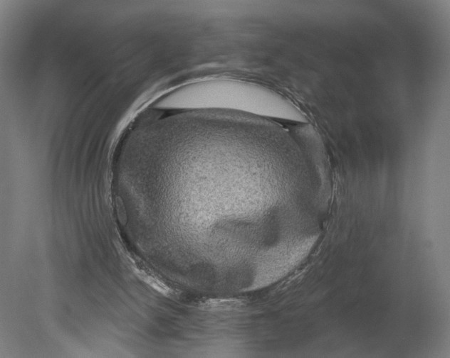 X0000080690150200701051109