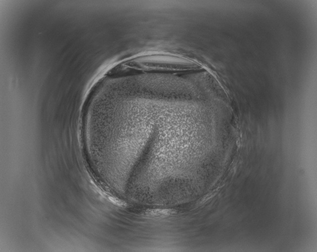 X0000080690152200701051109