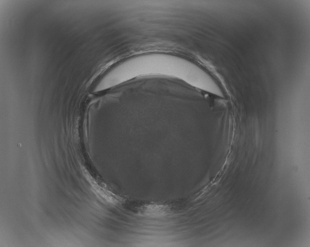 X0000080690154200701051109