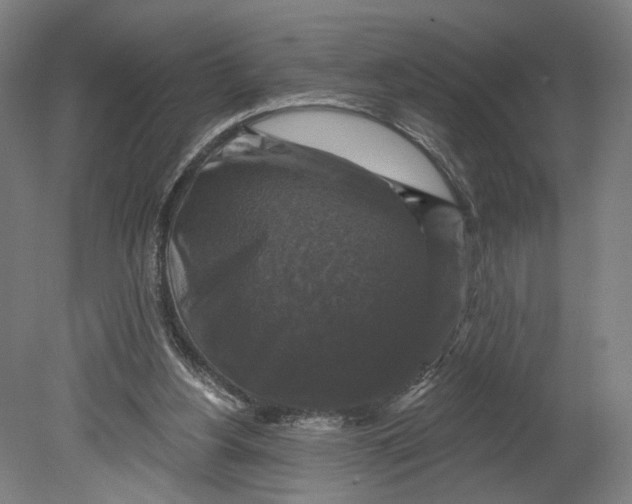 X0000080690156200701051109