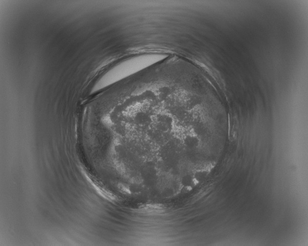 X0000080690157200701051109