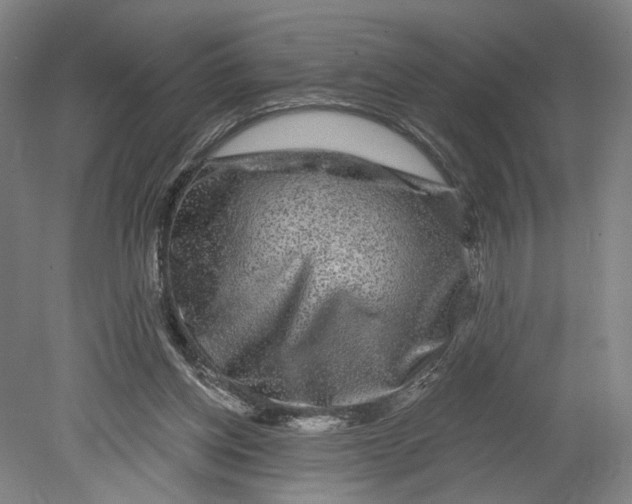 X0000080690158200701051109