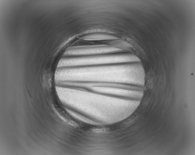 X0000080690160200701051109