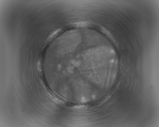 X0000080690161200701051109