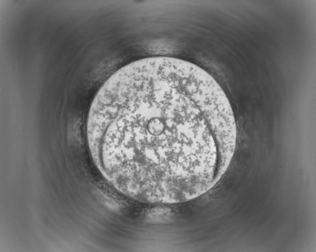 X0000080690162200701051109