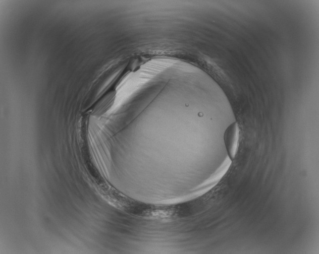 X0000080690163200701051109