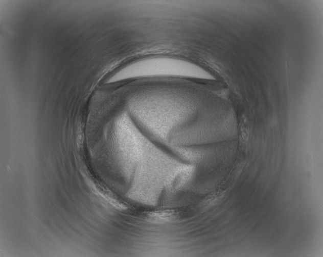 X0000080690164200701051109