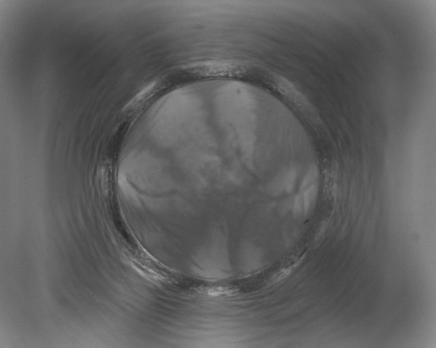 X0000080690165200701051109