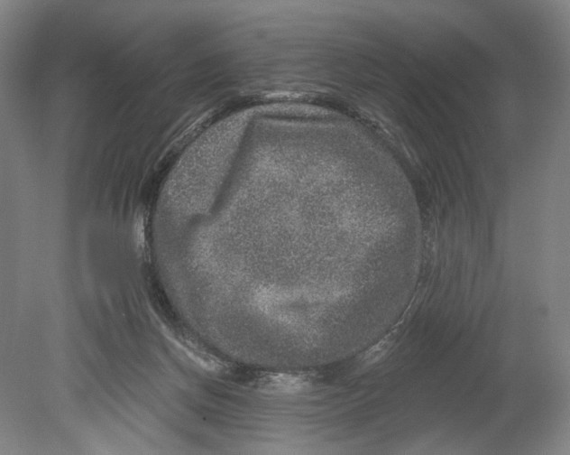 X0000080690166200701051109