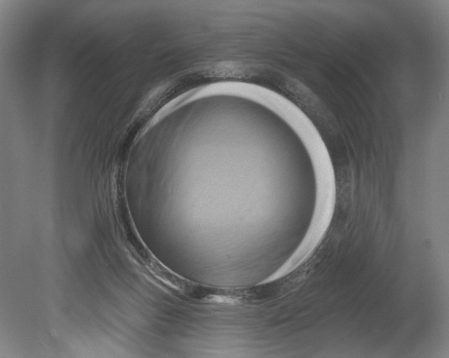 X0000080690167200701051109