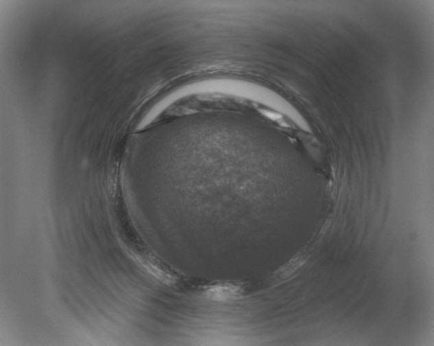 X0000080690168200701051109