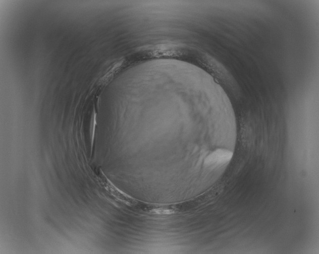 X0000080690169200701051109