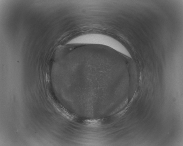 X0000080690170200701051109