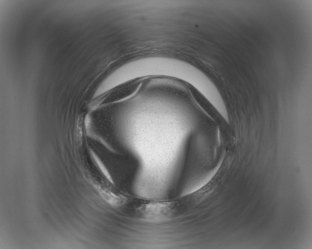 X0000080690172200701051109