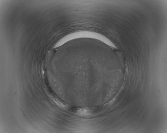 X0000080690174200701051109