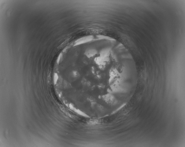 X0000080690177200701051109