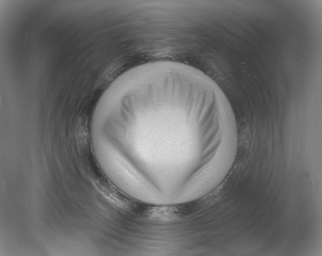 X0000080690179200701051109