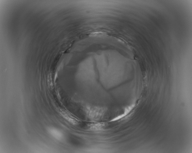X0000080690182200701051109