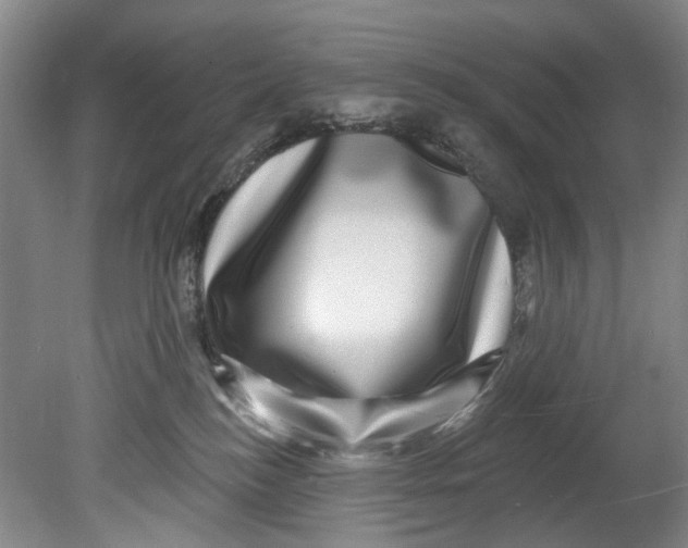 X0000080690184200701051110
