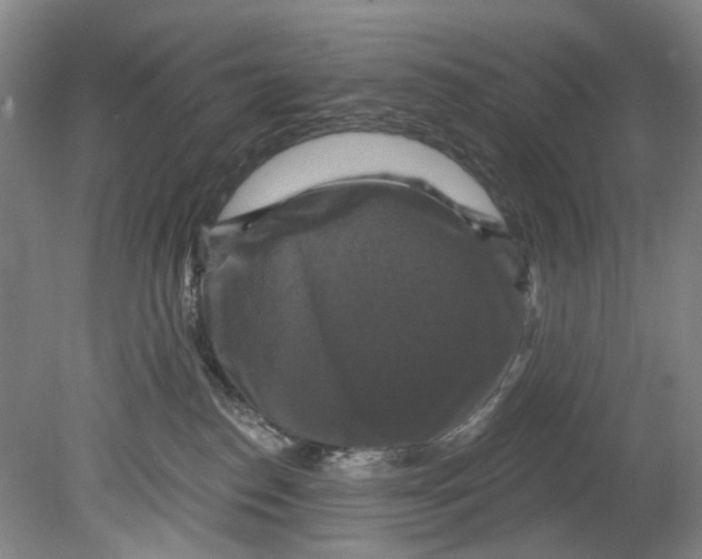 X0000080690186200701051110