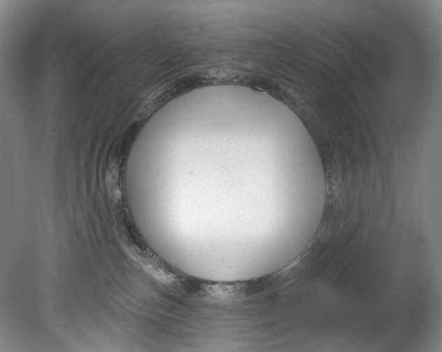 X0000080690187200701051110