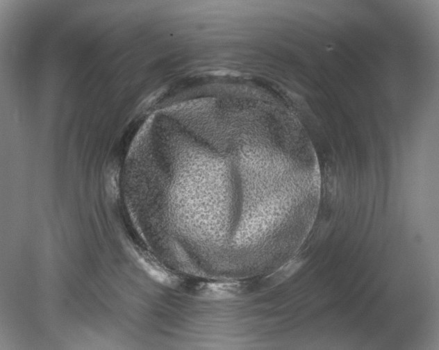X0000080690188200701051110