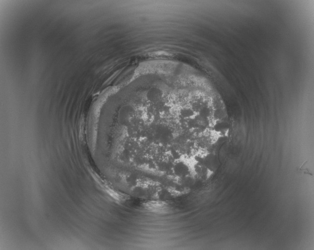 X0000080690189200701051110