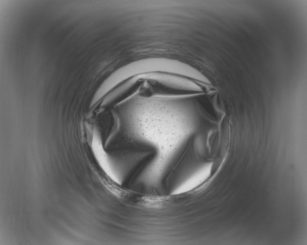 X0000080690190200701051110