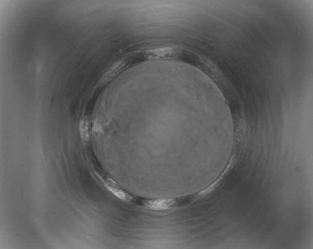 X0000080690191200701051110