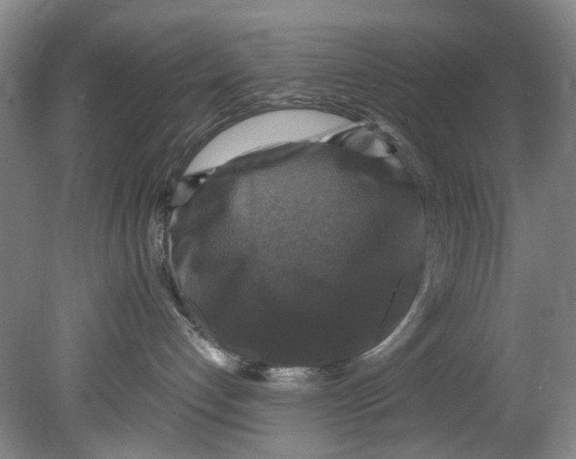 X0000080690192200701051110