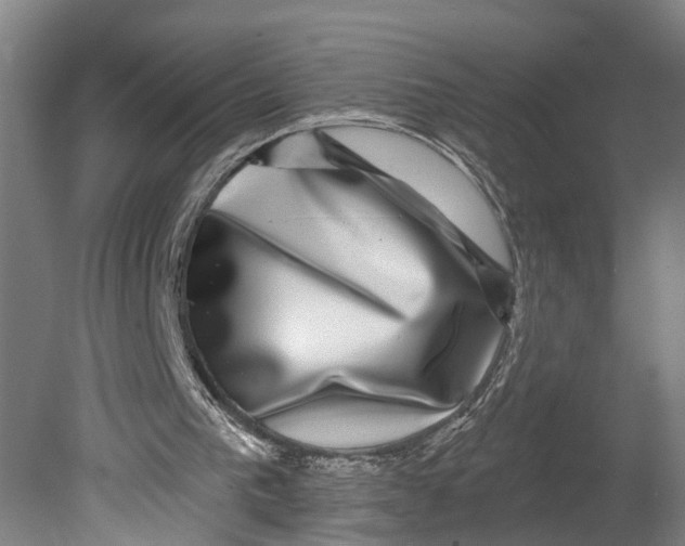 X0000080690193200701051109