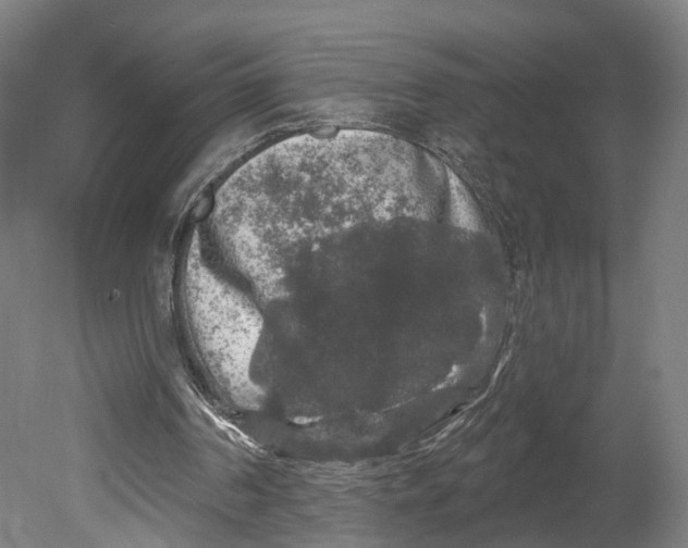 X0000080690194200701051109