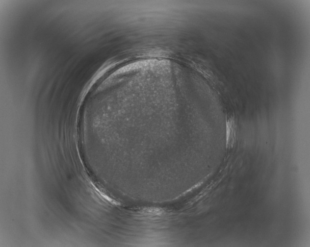 X0000080690195200701051109