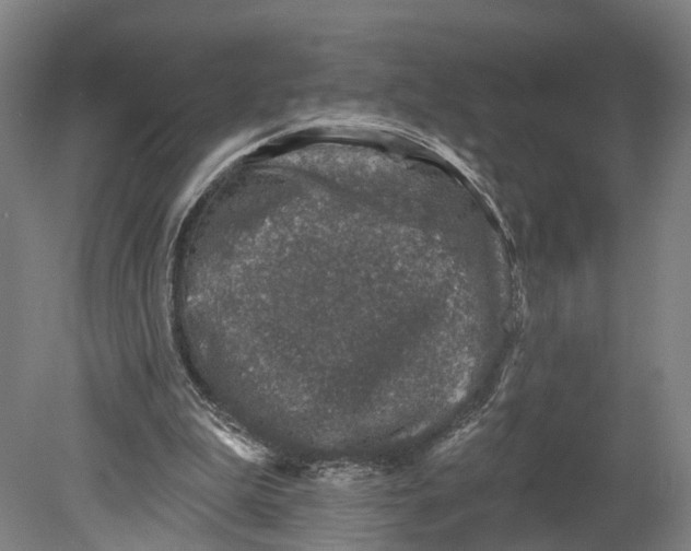 X0000080690199200701051109