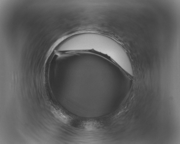 X0000080690200200701051109