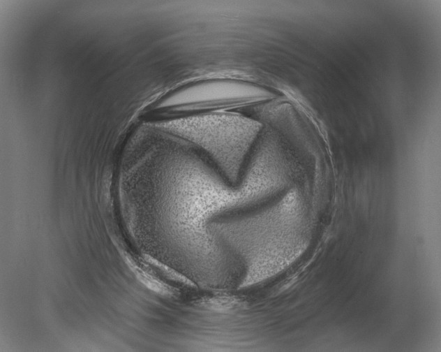 X0000080690201200701051109