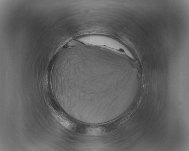 X0000080690202200701051109