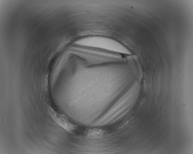 X0000080690206200701051109