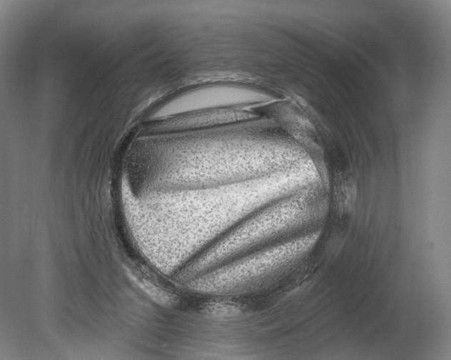 X0000080690207200701051109