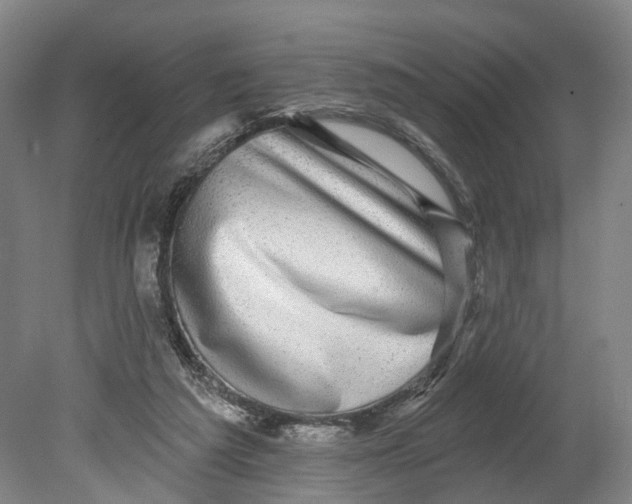 X0000080690209200701051109