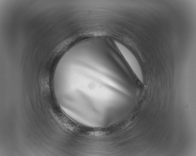 X0000080690212200701051109