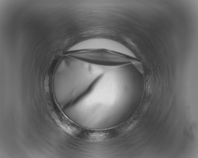 X0000080690213200701051108