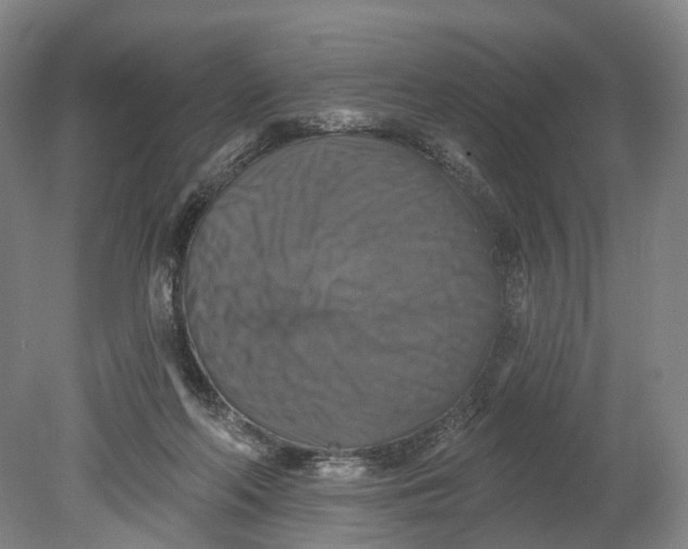 X0000080690214200701051108