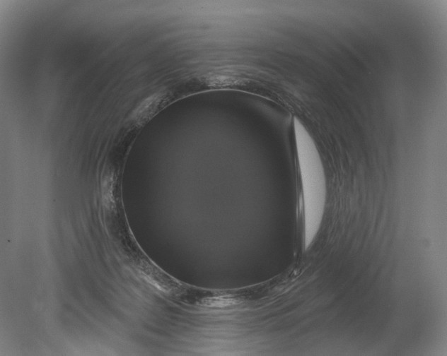 X0000080690219200701051108